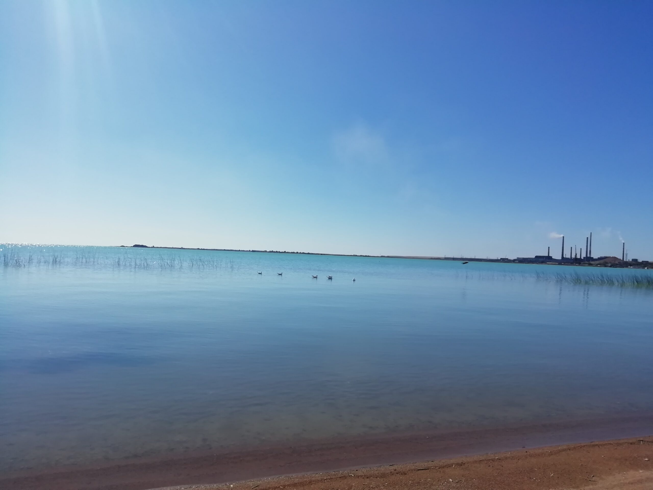 Озеро Балхаш: вода и берег на севере озера