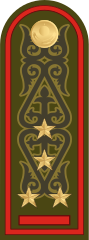 Погоны капитана