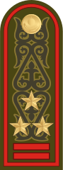 Погоны полковника