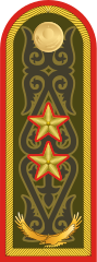 Погоны генерал-лейтенанта