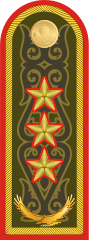 Погоны генерал-полковника