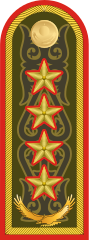 Погоны генерала армии