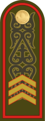 Знаки различия сержанта