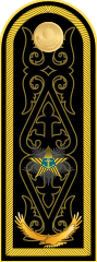 Погоны контр-адмирала