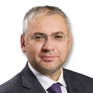 Виталий Несис